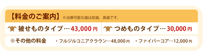 セレックでの治療費